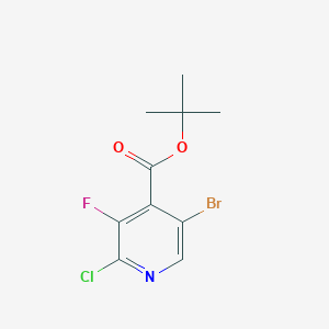 molecular formula C10H10BrClFNO2 B2871169 5-溴-2-氯-3-氟-异烟酸叔丁酯 CAS No. 1589481-91-3