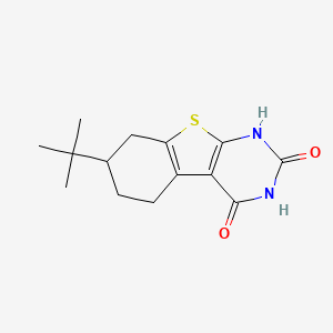 molecular formula C14H18N2O2S B2873352 7-tert-Butyl-1,2,3,4,5,6,7,8-octahydrobenzothieno[2,3-d]pyrimidine-2,4-dione CAS No. 1226107-10-3