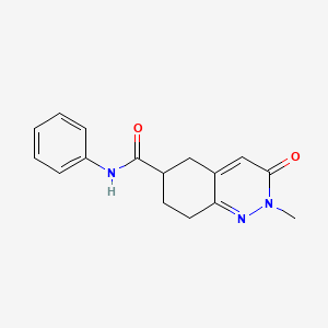 2-methyl-3-oxo-N-phenyl-2,3,5,6,7,8-hexahydrocinnoline-6-carboxamide