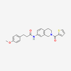 molecular formula C24H24N2O3S B2875548 3-(4-methoxyphenyl)-N-(2-(thiophene-2-carbonyl)-1,2,3,4-tetrahydroisoquinolin-7-yl)propanamide CAS No. 955640-57-0