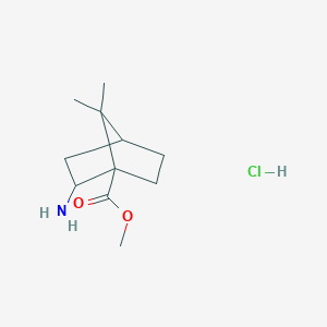 Methyl 2-amino-7,7-dimethylbicyclo[2.2.1]heptane-1-carboxylate hydrochloride