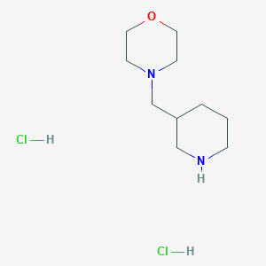 molecular formula C10H22Cl2N2O B2876078 4-(3-Piperidinylmethyl)morpholine dihydrochloride CAS No. 81310-60-3; 81310-61-4