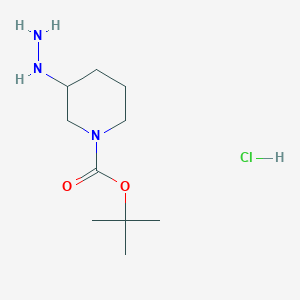 tert-Butyl 3-hydrazinylpiperidine-1-carboxylate hydrochloride