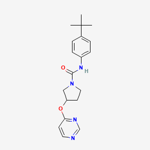 molecular formula C19H24N4O2 B2877375 N-(4-(tert-butyl)phenyl)-3-(pyrimidin-4-yloxy)pyrrolidine-1-carboxamide CAS No. 2034297-85-1