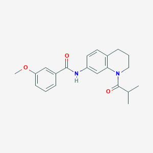 N-(1-isobutyryl-1,2,3,4-tetrahydroquinolin-7-yl)-3-methoxybenzamide