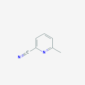 molecular formula C7H6N2 B028785 6-甲基吡啶-2-腈 CAS No. 1620-75-3