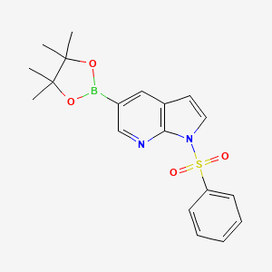 molecular formula C19H21BN2O4S B2878621 1-(phenylsulfonyl)-5-(4,4,5,5-tetramethyl-1,3,2-dioxaborolan-2-yl)-1H-pyrrolo[2,3-b]pyridine CAS No. 2058052-40-5