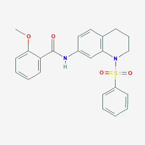 2-methoxy-N-(1-(phenylsulfonyl)-1,2,3,4-tetrahydroquinolin-7-yl)benzamide