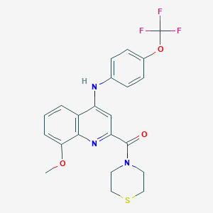 B2879731 (8-Methoxy-4-((4-(trifluoromethoxy)phenyl)amino)quinolin-2-yl)(thiomorpholino)methanone CAS No. 1251630-08-6