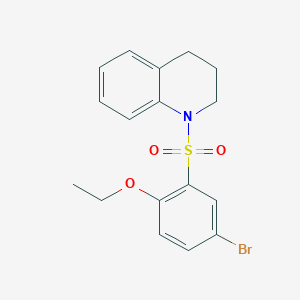 molecular formula C17H18BrNO3S B288176 4-bromo-2-(3,4-dihydro-1(2H)-quinolinylsulfonyl)phenyl ethyl ether 