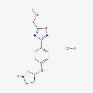 molecular formula C14H18ClN3O3 B2882130 5-(Methoxymethyl)-3-(4-(pyrrolidin-3-yloxy)phenyl)-1,2,4-oxadiazole hydrochloride CAS No. 2310153-78-5