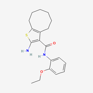 molecular formula C19H24N2O2S B2882750 2-amino-N-(2-ethoxyphenyl)-4,5,6,7,8,9-hexahydrocycloocta[b]thiophene-3-carboxamide CAS No. 588714-54-9