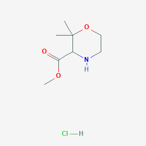 molecular formula C8H16ClNO3 B2883927 Methyl 2,2-dimethylmorpholine-3-carboxylate hydrochloride CAS No. 1416437-92-7