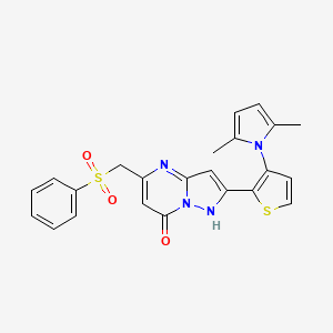 molecular formula C23H20N4O3S2 B2885605 2-[3-(2,5-dimethyl-1H-pyrrol-1-yl)-2-thienyl]-5-[(phenylsulfonyl)methyl]pyrazolo[1,5-a]pyrimidin-7-ol CAS No. 439120-65-7