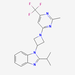 molecular formula C19H20F3N5 B2885921 1-[1-[2-Methyl-6-(trifluoromethyl)pyrimidin-4-yl]azetidin-3-yl]-2-propan-2-ylbenzimidazole CAS No. 2415565-96-5