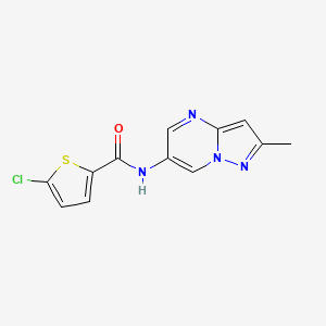 5-chloro-N-(2-methylpyrazolo[1,5-a]pyrimidin-6-yl)thiophene-2-carboxamide