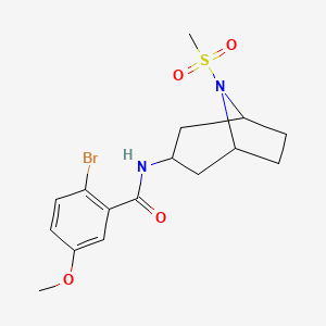 molecular formula C16H21BrN2O4S B2886031 2-bromo-5-methoxy-N-(8-(methylsulfonyl)-8-azabicyclo[3.2.1]octan-3-yl)benzamide CAS No. 2034385-63-0