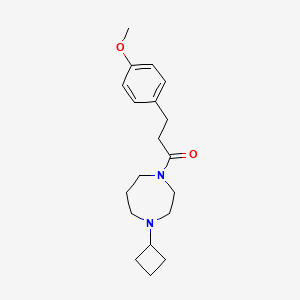molecular formula C19H28N2O2 B2886397 1-(4-Cyclobutyl-1,4-diazepan-1-yl)-3-(4-methoxyphenyl)propan-1-one CAS No. 2320862-00-6