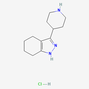 molecular formula C12H20ClN3 B2886452 3-(piperidin-4-yl)-4,5,6,7-tetrahydro-2H-indazole hydrochloride CAS No. 2377033-31-1