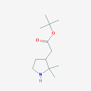 Tert-butyl 2-(2,2-dimethylpyrrolidin-3-yl)acetate