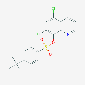 molecular formula C19H17Cl2NO3S B288759 5,7-Dichloro-8-quinolinyl 4-tert-butylbenzenesulfonate 