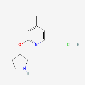 molecular formula C10H15ClN2O B2887961 4-Methyl-2-(pyrrolidin-3-yloxy)pyridine hydrochloride CAS No. 1420994-15-5