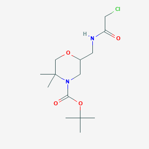 molecular formula C14H25ClN2O4 B2888763 Tert-butyl 2-[[(2-chloroacetyl)amino]methyl]-5,5-dimethylmorpholine-4-carboxylate CAS No. 2411266-68-5