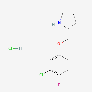 molecular formula C11H14Cl2FNO B2888871 3-氯-4-氟苯基 2-吡咯烷甲醚盐酸盐 CAS No. 1050509-56-2