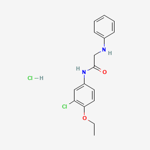 N-(3-chloro-4-ethoxyphenyl)-2-(phenylamino)acetamide hydrochloride