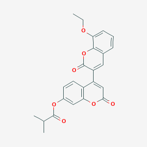 molecular formula C24H20O7 B2889867 4-(8-Ethoxy-2-oxochromen-3-yl)-2-oxochromen-7-yl 2-methylpropanoate CAS No. 896034-24-5