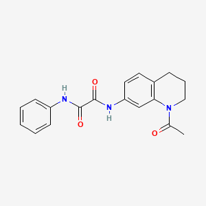 molecular formula C19H19N3O3 B2891018 N1-(1-acetyl-1,2,3,4-tetrahydroquinolin-7-yl)-N2-phenyloxalamide CAS No. 898466-18-7
