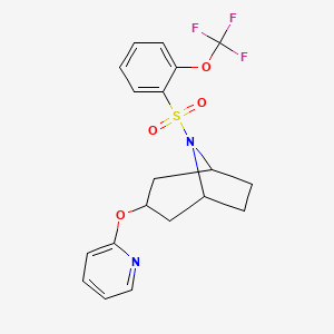 (1R,3s,5S)-3-(pyridin-2-yloxy)-8-((2-(trifluoromethoxy)phenyl)sulfonyl)-8-azabicyclo[3.2.1]octane