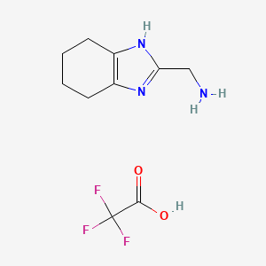 molecular formula C10H14F3N3O2 B2892836 4,5,6,7-Tetrahydro-1H-benzimidazol-2-ylmethanamine;2,2,2-trifluoroacetic acid CAS No. 2138135-70-1