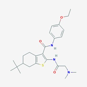 molecular formula C25H35N3O3S B289318 6-tert-butyl-2-{[(dimethylamino)acetyl]amino}-N-(4-ethoxyphenyl)-4,5,6,7-tetrahydro-1-benzothiophene-3-carboxamide 