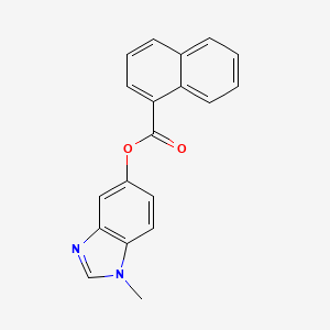 molecular formula C19H14N2O2 B2893270 1-methyl-1H-benzo[d]imidazol-5-yl 1-naphthoate CAS No. 1351622-37-1
