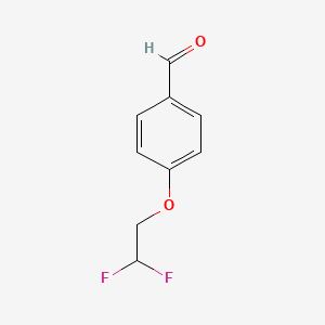 molecular formula C9H8F2O2 B2893467 4-(2,2-Difluoroethoxy)benzaldehyde CAS No. 128140-72-7
