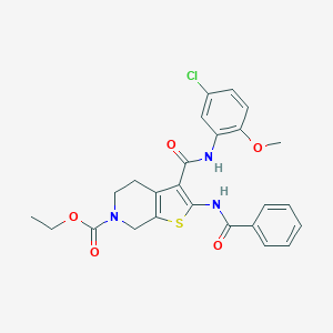 molecular formula C25H24ClN3O5S B289372 ethyl 2-(benzoylamino)-3-[(5-chloro-2-methoxyanilino)carbonyl]-4,7-dihydrothieno[2,3-c]pyridine-6(5H)-carboxylate 