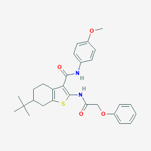 6-tert-butyl-N-(4-methoxyphenyl)-2-[(phenoxyacetyl)amino]-4,5,6,7-tetrahydro-1-benzothiophene-3-carboxamide