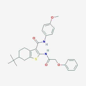 molecular formula C28H32N2O4S B289375 6-tert-butyl-N-(4-methoxyphenyl)-2-[(phenoxyacetyl)amino]-4,5,6,7-tetrahydro-1-benzothiophene-3-carboxamide 