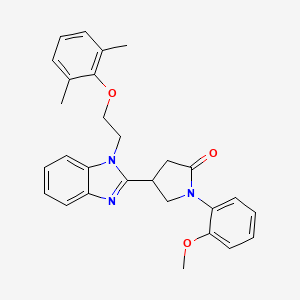 4-{1-[2-(2,6-dimethylphenoxy)ethyl]-1H-benzimidazol-2-yl}-1-(2-methoxyphenyl)pyrrolidin-2-one
