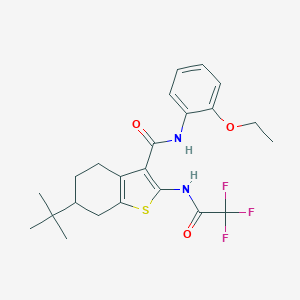 6-tert-butyl-N-(2-ethoxyphenyl)-2-[(trifluoroacetyl)amino]-4,5,6,7-tetrahydro-1-benzothiophene-3-carboxamide
