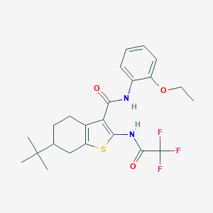 molecular formula C23H27F3N2O3S B289381 6-tert-butyl-N-(2-ethoxyphenyl)-2-[(trifluoroacetyl)amino]-4,5,6,7-tetrahydro-1-benzothiophene-3-carboxamide 