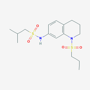 molecular formula C16H26N2O4S2 B2893878 2-methyl-N-(1-(propylsulfonyl)-1,2,3,4-tetrahydroquinolin-7-yl)propane-1-sulfonamide CAS No. 946301-09-3
