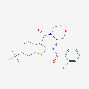 molecular formula C24H29ClN2O3S B289409 N-[6-tert-butyl-3-(4-morpholinylcarbonyl)-4,5,6,7-tetrahydro-1-benzothien-2-yl]-2-chlorobenzamide 