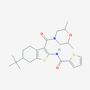 N-{6-tert-butyl-3-[(2,6-dimethyl-4-morpholinyl)carbonyl]-4,5,6,7-tetrahydro-1-benzothien-2-yl}-2-thiophenecarboxamide