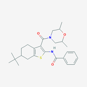 molecular formula C26H34N2O3S B289425 N-{6-tert-butyl-3-[(2,6-dimethyl-4-morpholinyl)carbonyl]-4,5,6,7-tetrahydro-1-benzothien-2-yl}benzamide 
