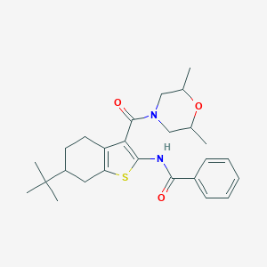 N-[6-tert-butyl-3-(2,6-dimethylmorpholine-4-carbonyl)-4,5,6,7-tetrahydro-1-benzothiophen-2-yl]benzamide