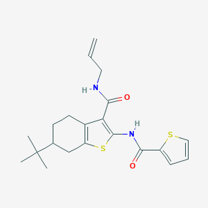 N-allyl-6-tert-butyl-2-[(2-thienylcarbonyl)amino]-4,5,6,7-tetrahydro-1-benzothiophene-3-carboxamide