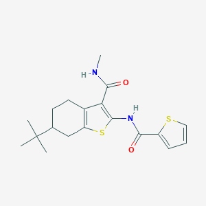 molecular formula C19H24N2O2S2 B289435 6-tert-butyl-N-methyl-2-[(2-thienylcarbonyl)amino]-4,5,6,7-tetrahydro-1-benzothiophene-3-carboxamide 