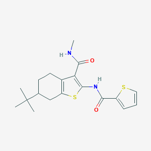 N-METHYL-6-(2-METHYL-2-PROPANYL)-2-[(2-THIENYLCARBONYL)AMINO]-4,5,6,7-TETRAHYDRO-1-BENZOTHIOPHENE-3-CARBOXAMIDE